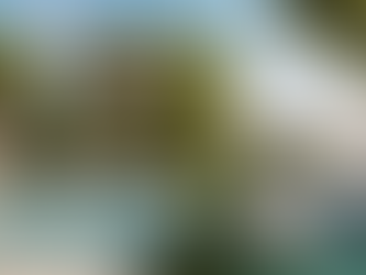 PALM Bayahíbe Residences – A New Standard for Caribbean Living and Investment