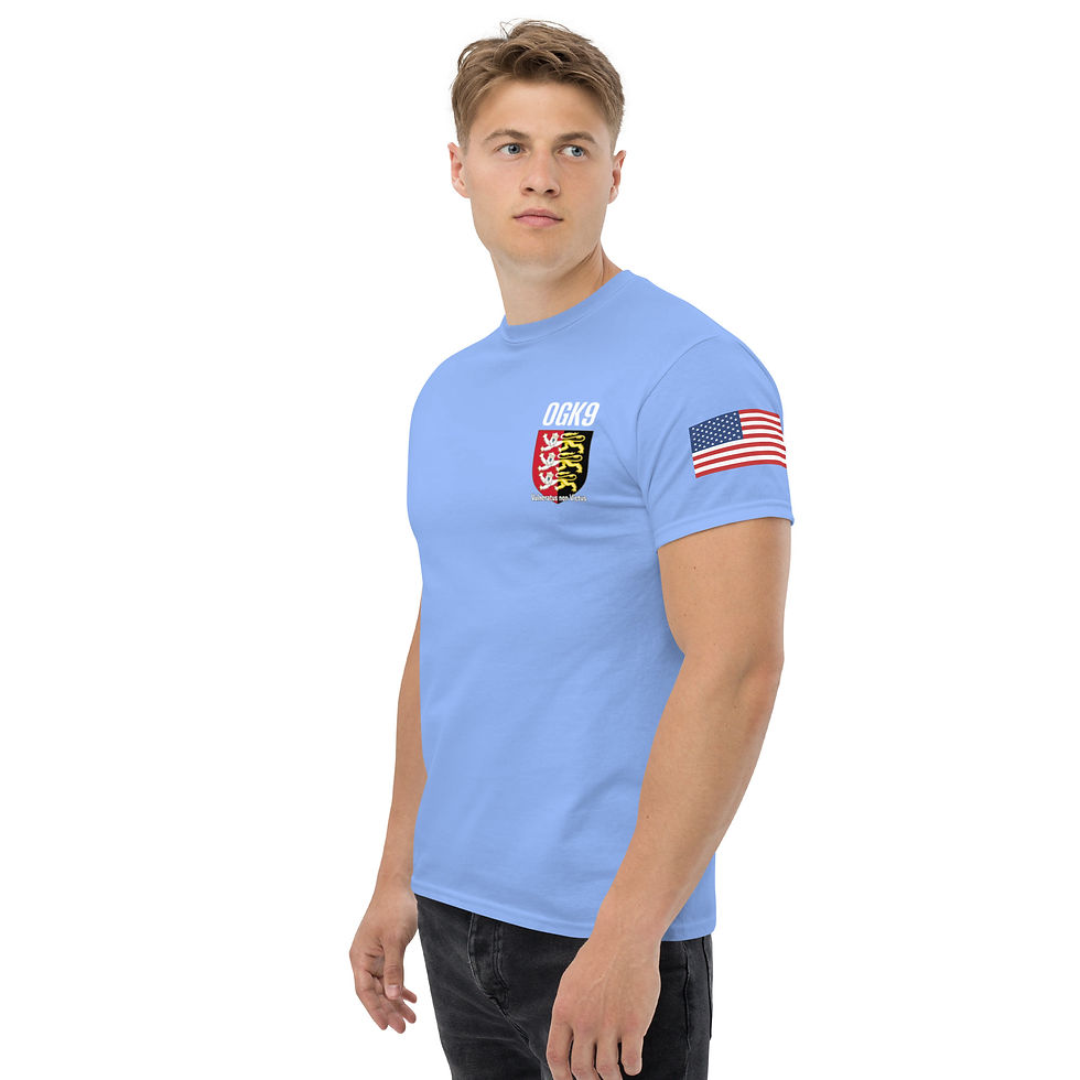 Thumbnail: Men's OGK9 American Flag tee