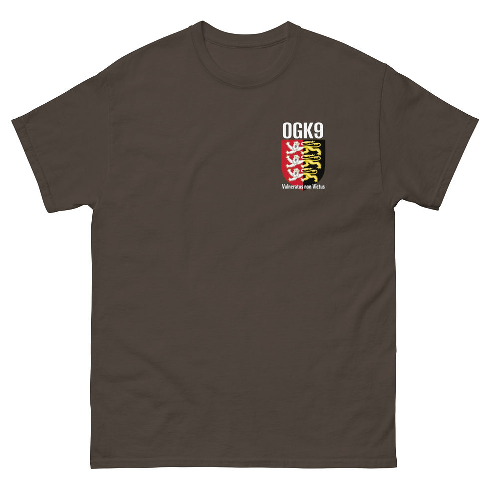 Thumbnail: Men's Texas "FAFO" Tee