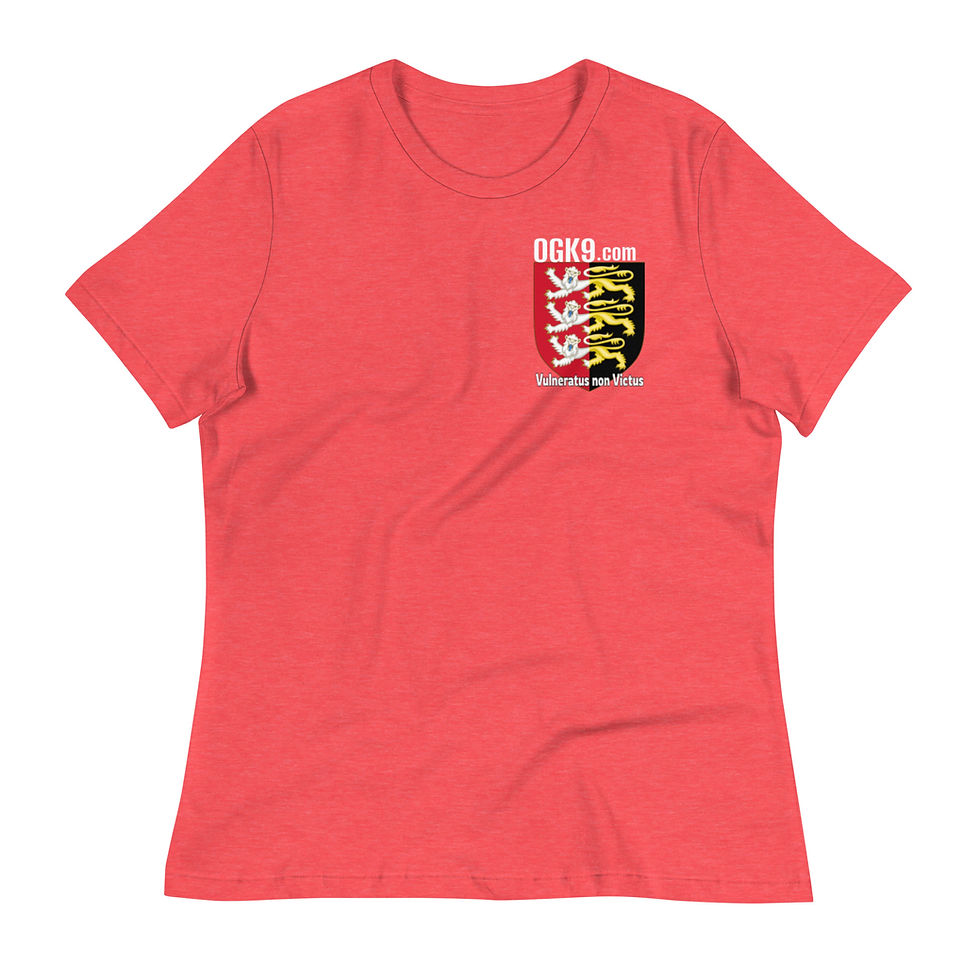 Thumbnail: Women's OGK9 "Our Bite Is Worse" Relaxed T-Shirt