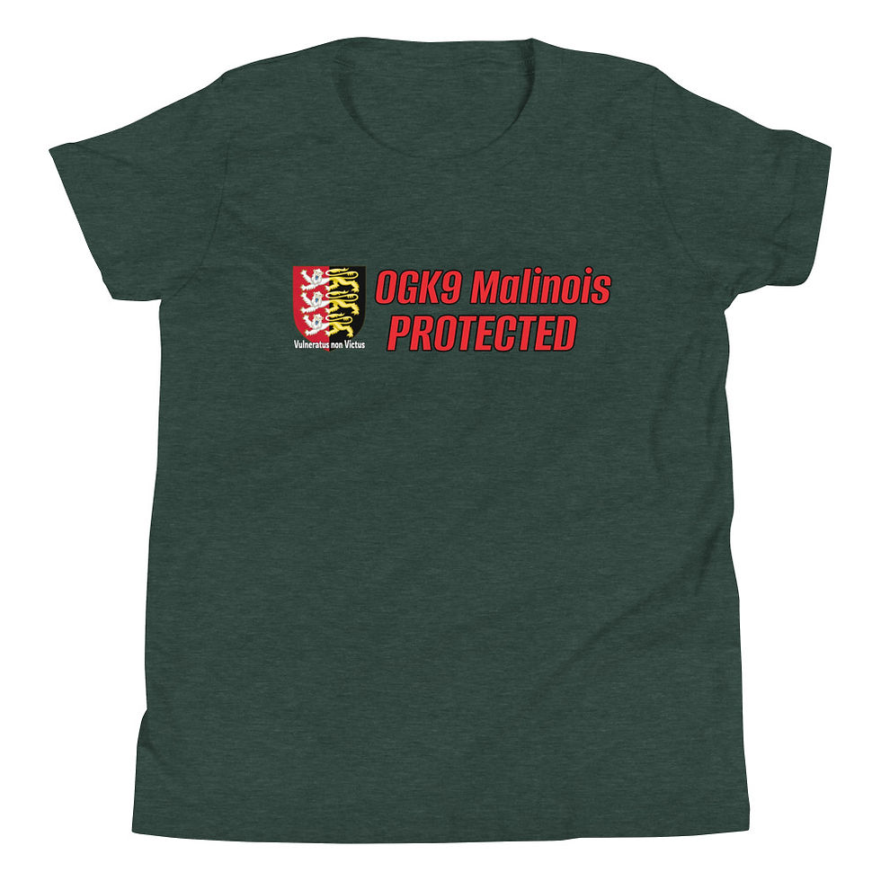 Thumbnail: Youth OGK9 "Malinois Protected" Tee