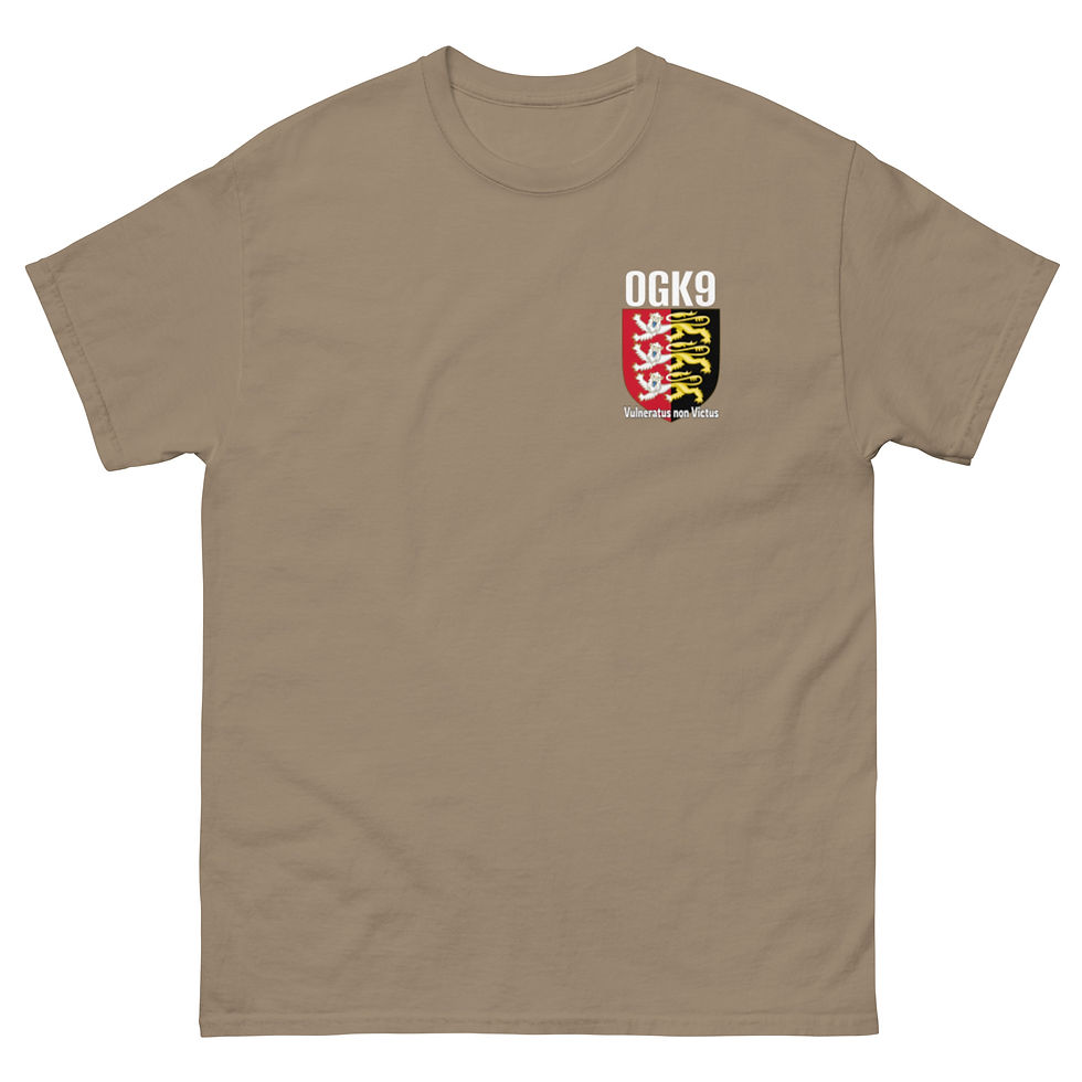 Thumbnail: Men's Texas "FAFO" Tee