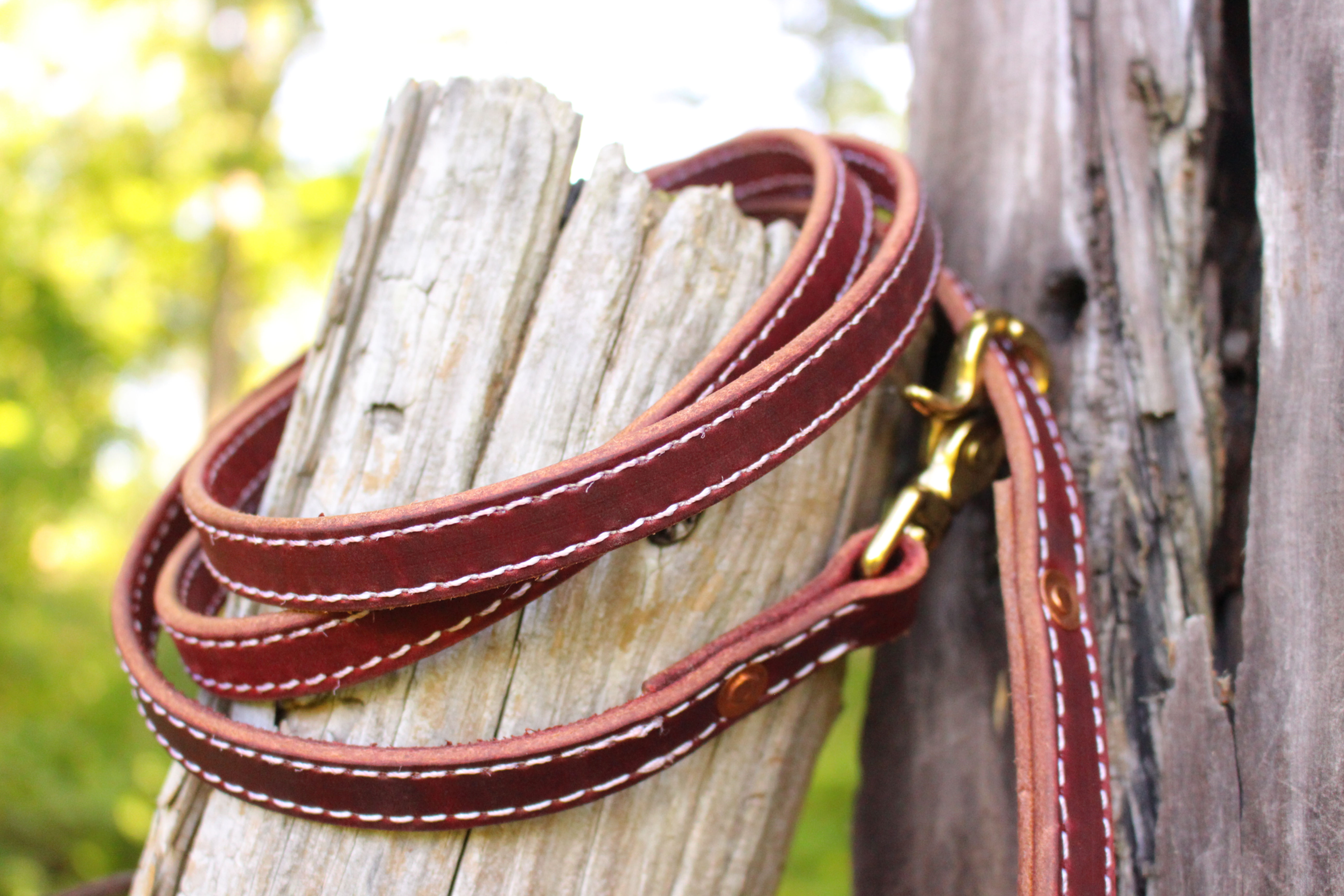 Leather Leash