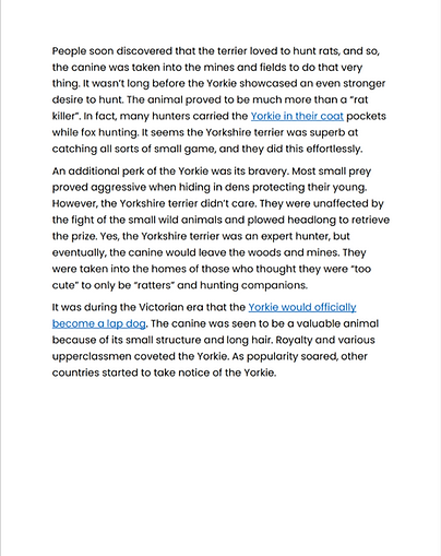Yorkie history pg 2.png