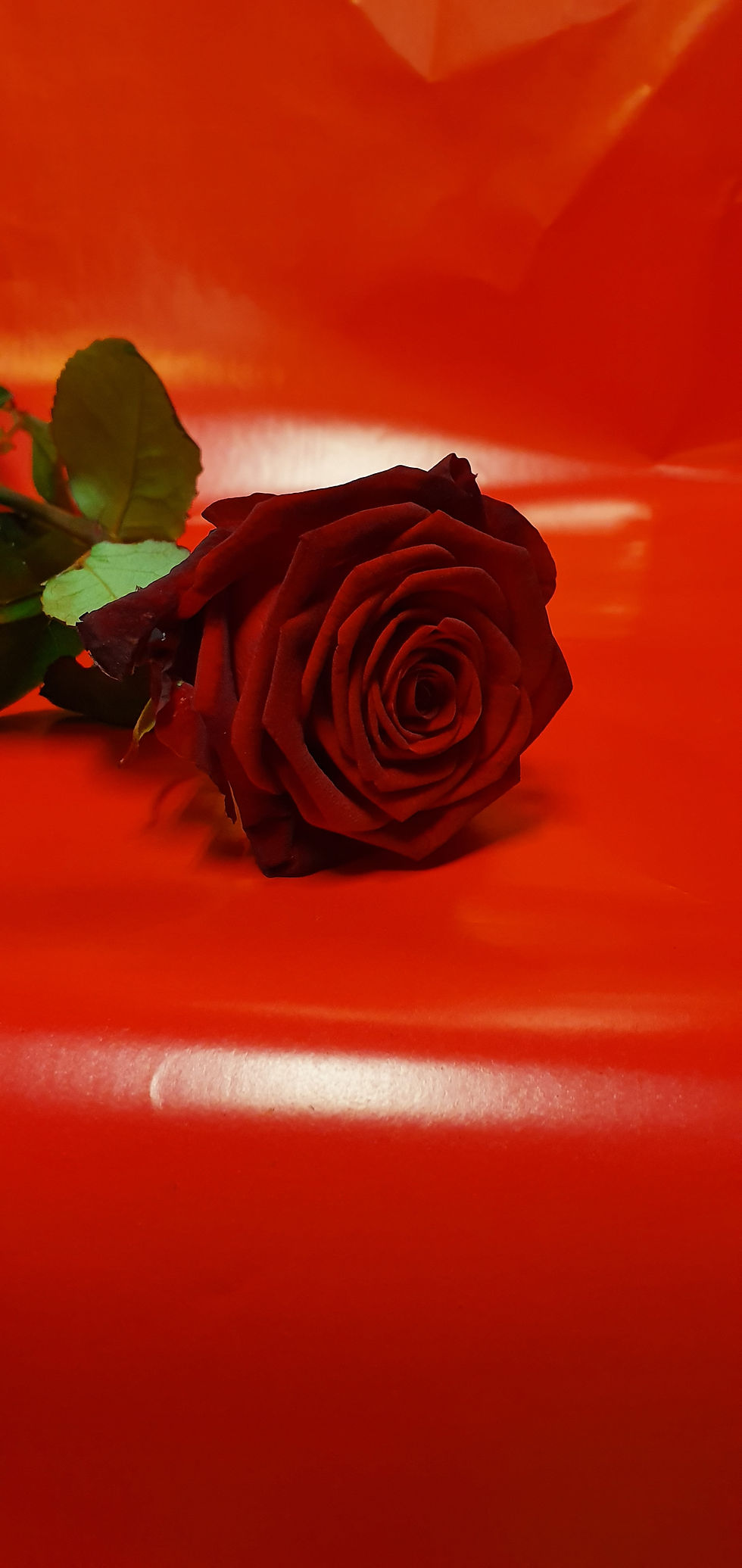 Miniature : Bouquet garnit petit prix grand plaisir ❤