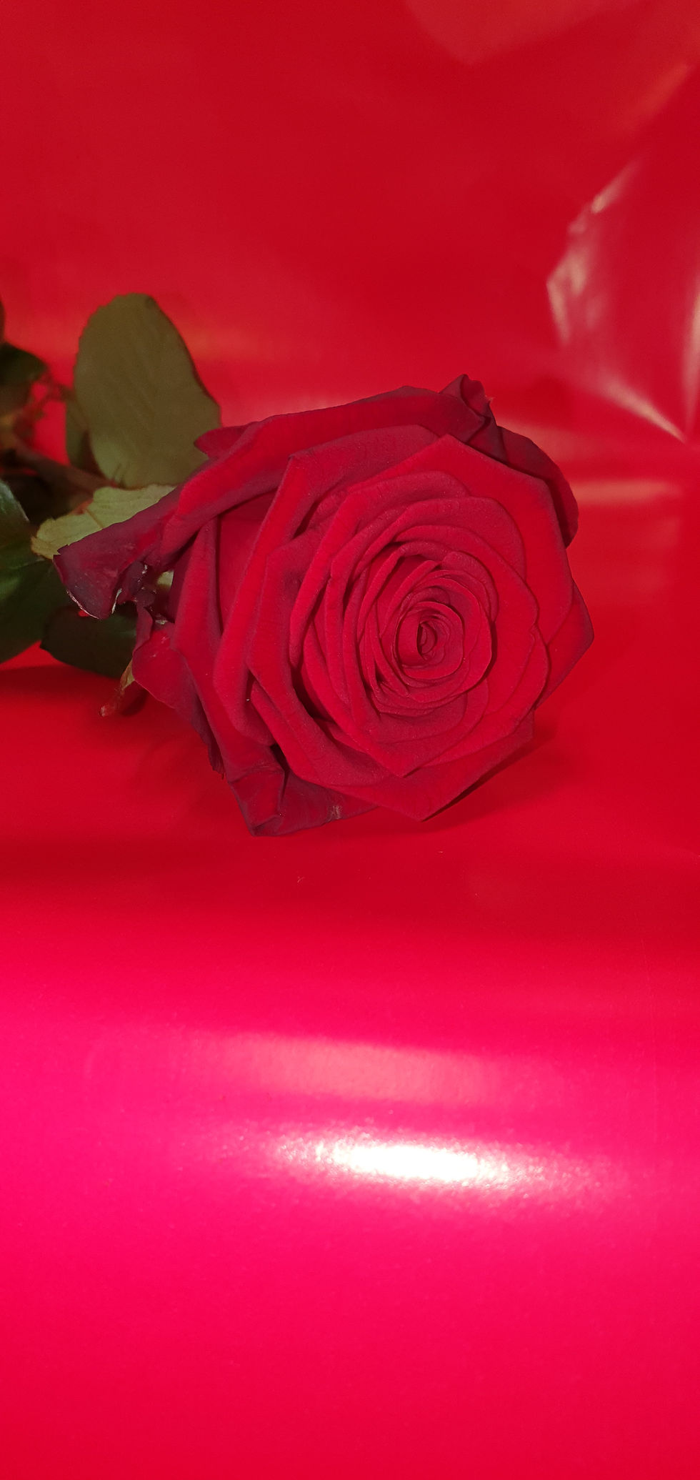 Thumbnail: Bouquet garnit Petit prix gros plaisir ❤