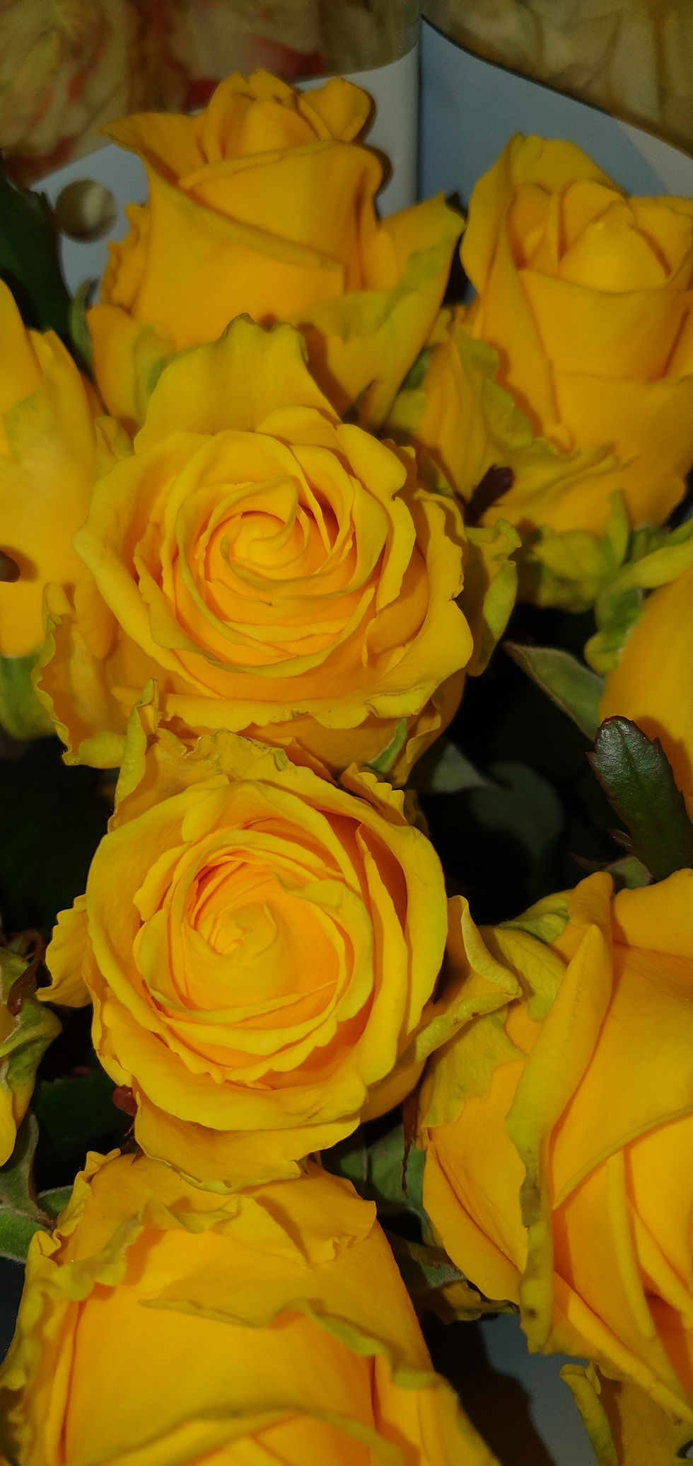 Thumbnail: Bouquet ROND