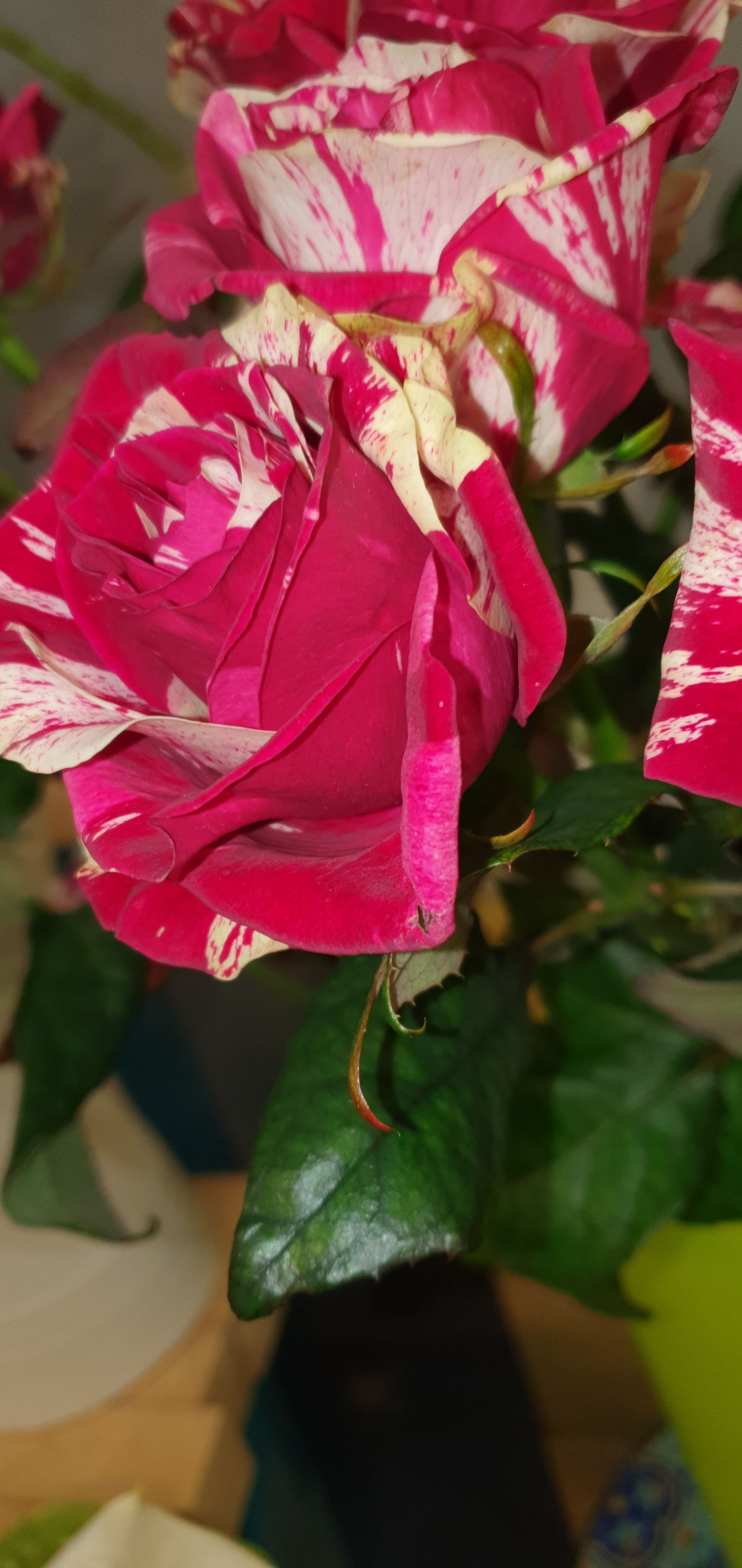 Bouquet garnit Petit prix gros plaisir ❤