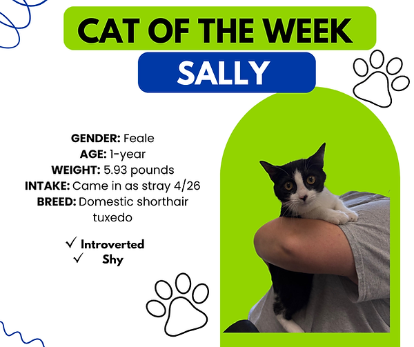 Sally.png