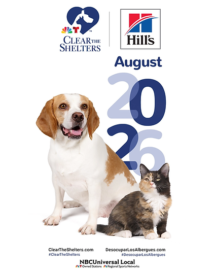 CTS poster.png