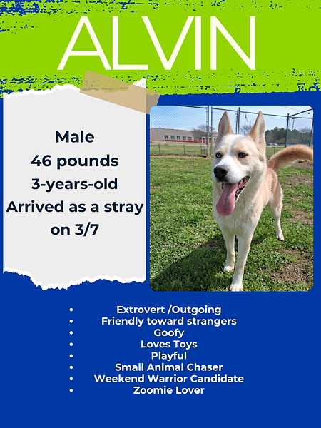 alvin.png
