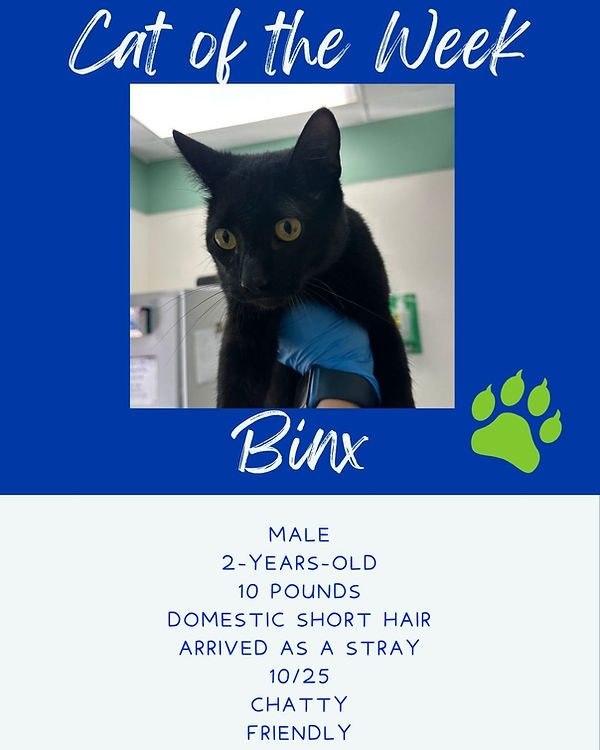 Copy of Copy of SH templates.jpg