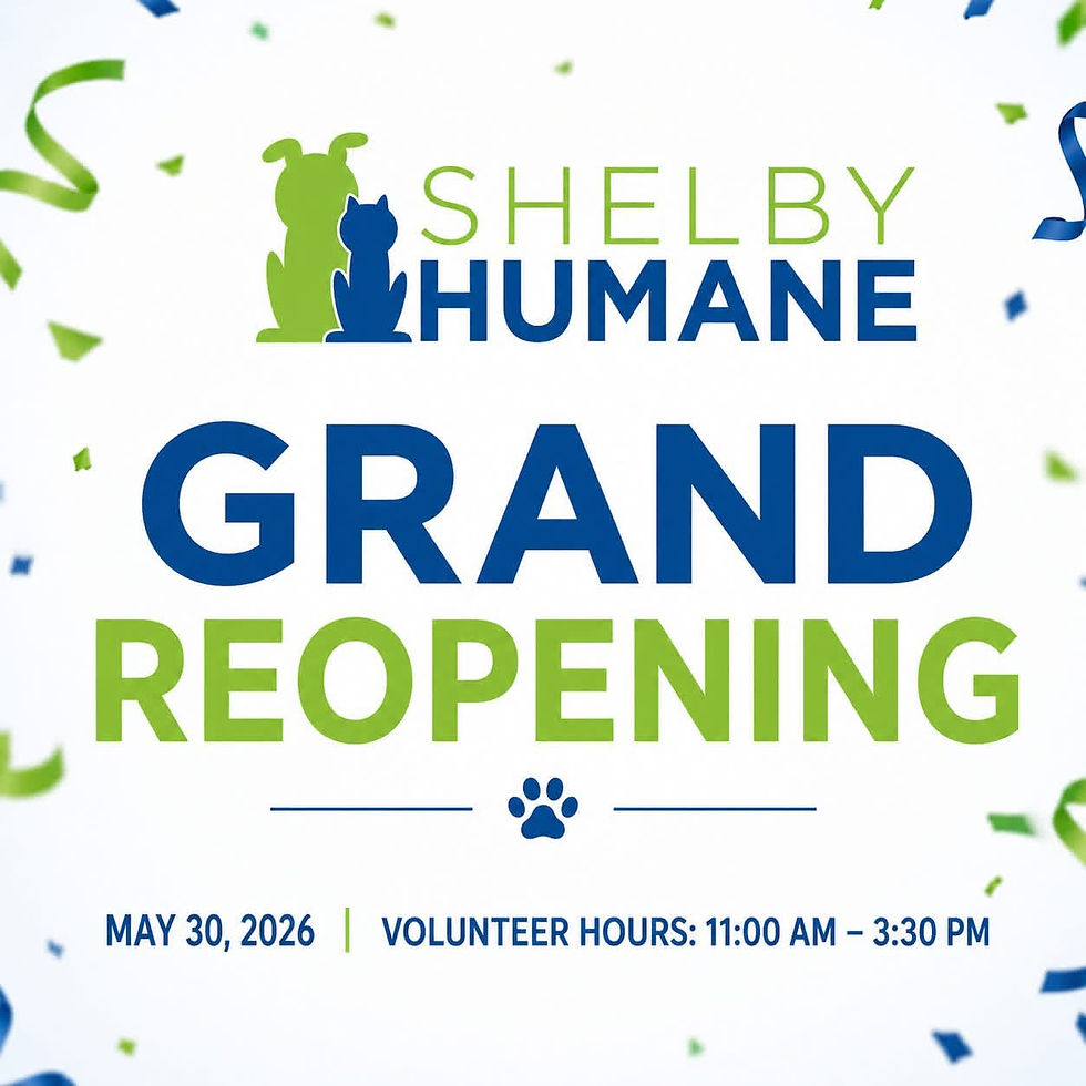 Grand Reopening