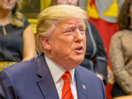 Donald Trump is Banned From 37 Countries (Including U.S. Allies) After Being Found Guilty of 34 Felonies