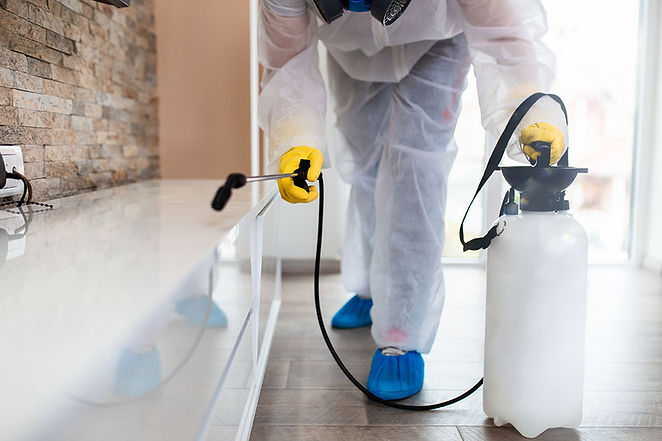 Safe residential pest control services