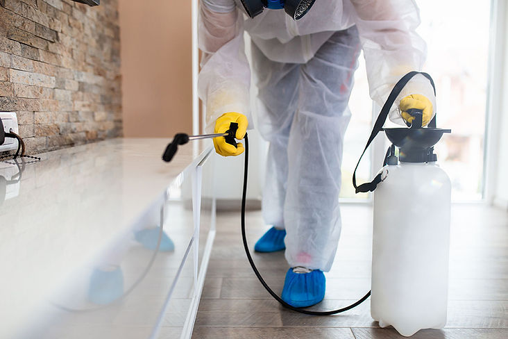 Safe residential pest control services