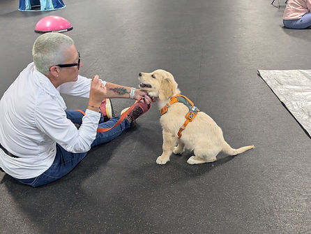 Golden retriever puppy and owner