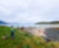 P1000580_2_1_edited.jpg