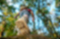 close-up-rear-view-trekking-shoes-hiker-walking-rock-forest-trail-with-sunlight-copy-space