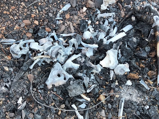 Encuentran Madres Buscadoras fosa con cinco cuerpos calcinados en Guaymas