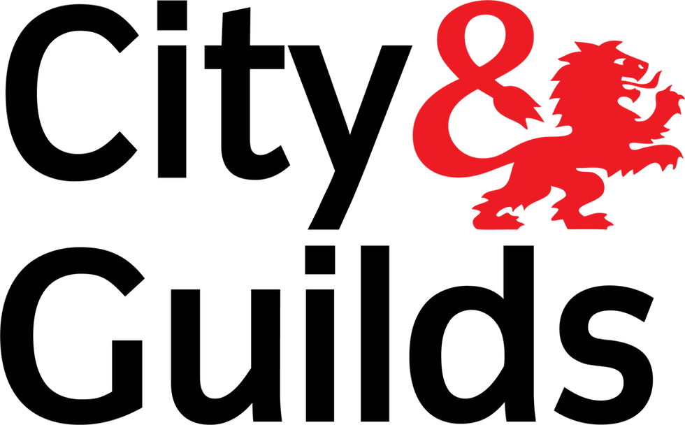 Red lion logo for a local plumber business