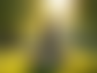 Healing Through Spirit: Women's Wellness Journey