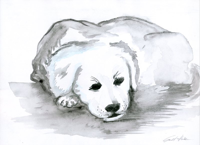Schlafender Hund (Aquarell)