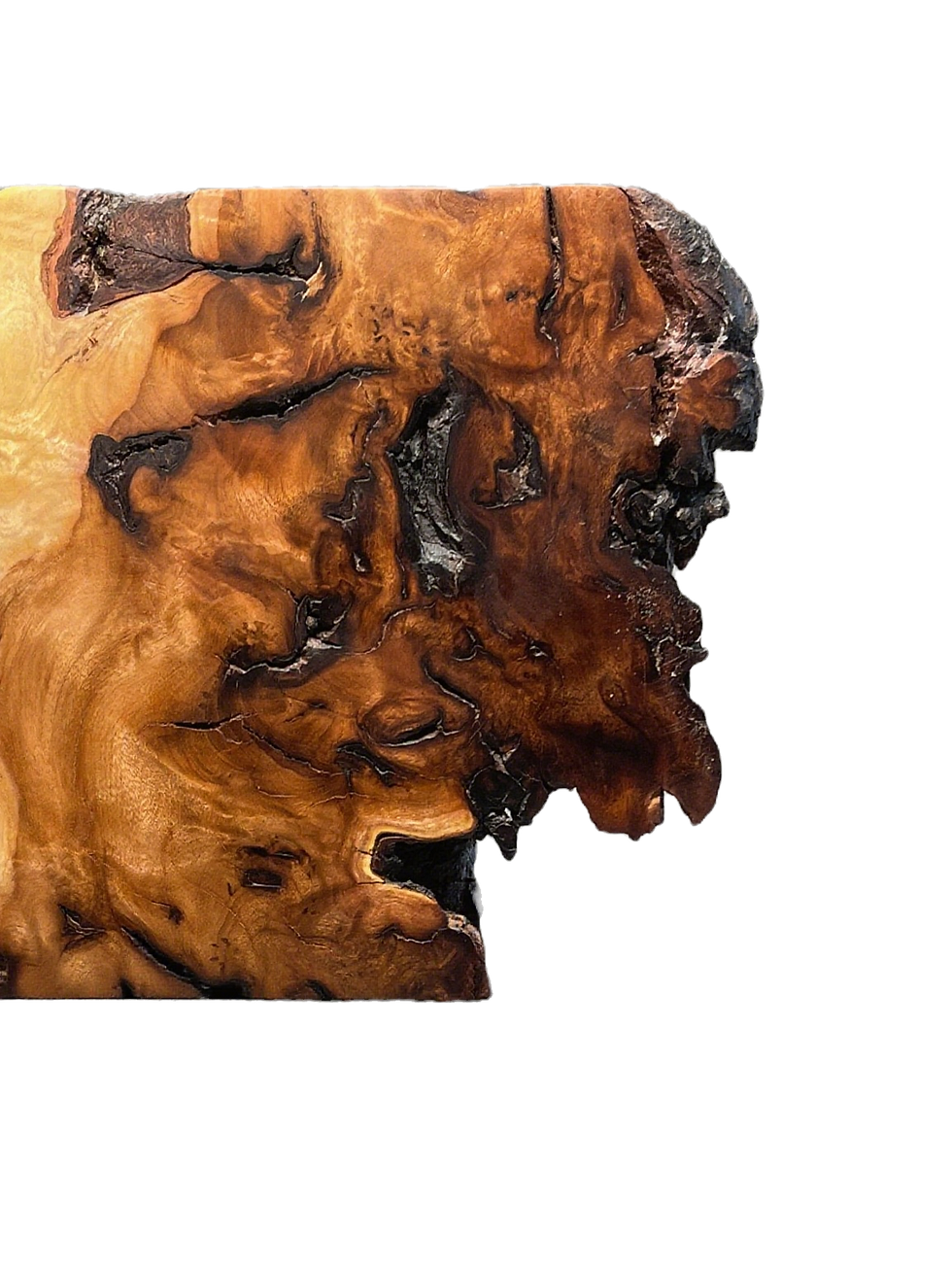 Lightning-struck wood displayed as a traditional symbolic material in Chinese Feng Shui culture