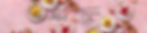 PannaCotta_skinny_Banner-01.jpg