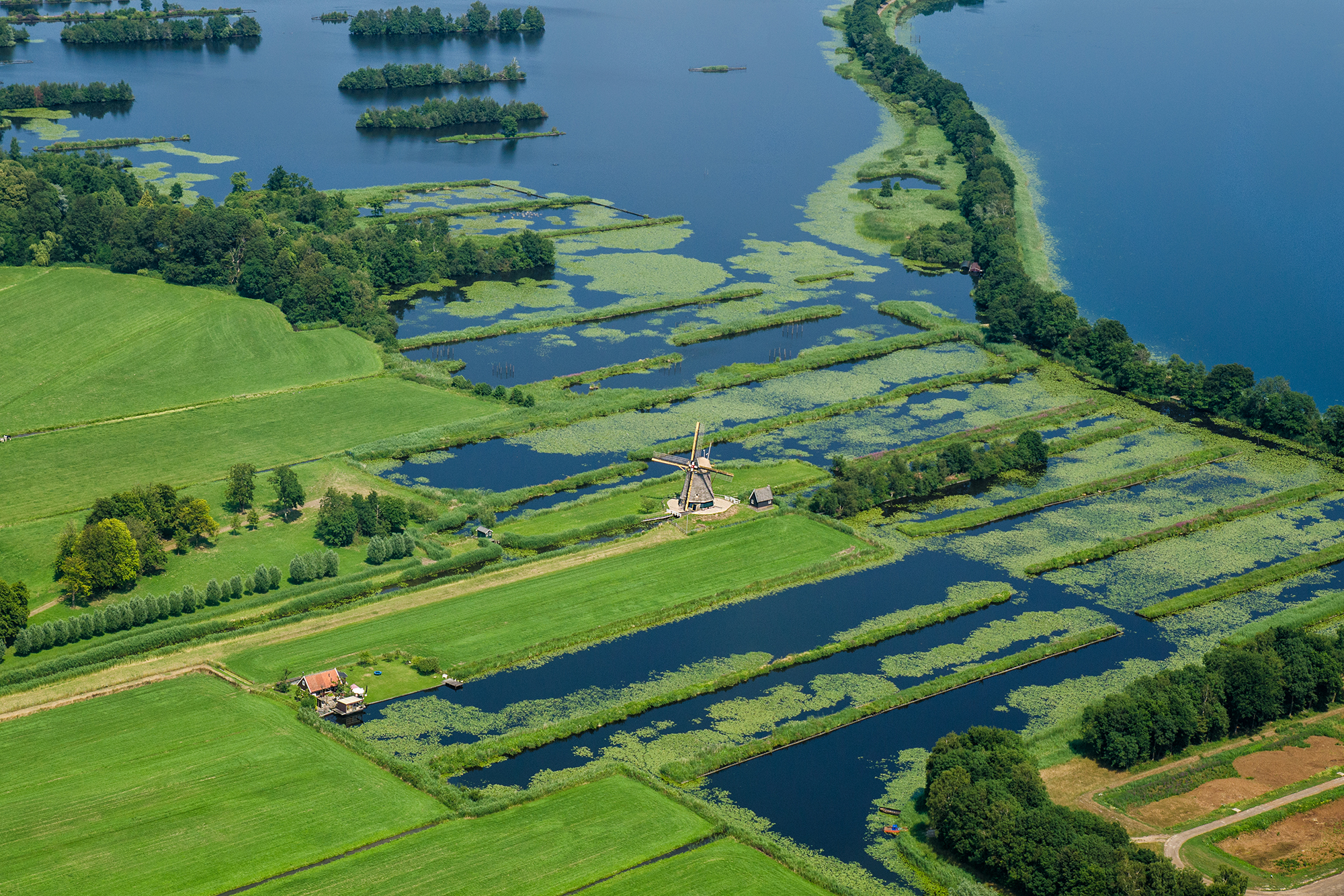 Molen Polder