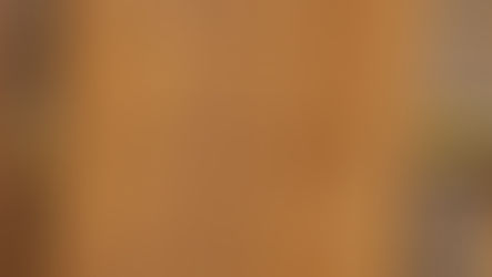 Snarebau-Workshop 26. & 27. Oktober 25 mit Adom Moser