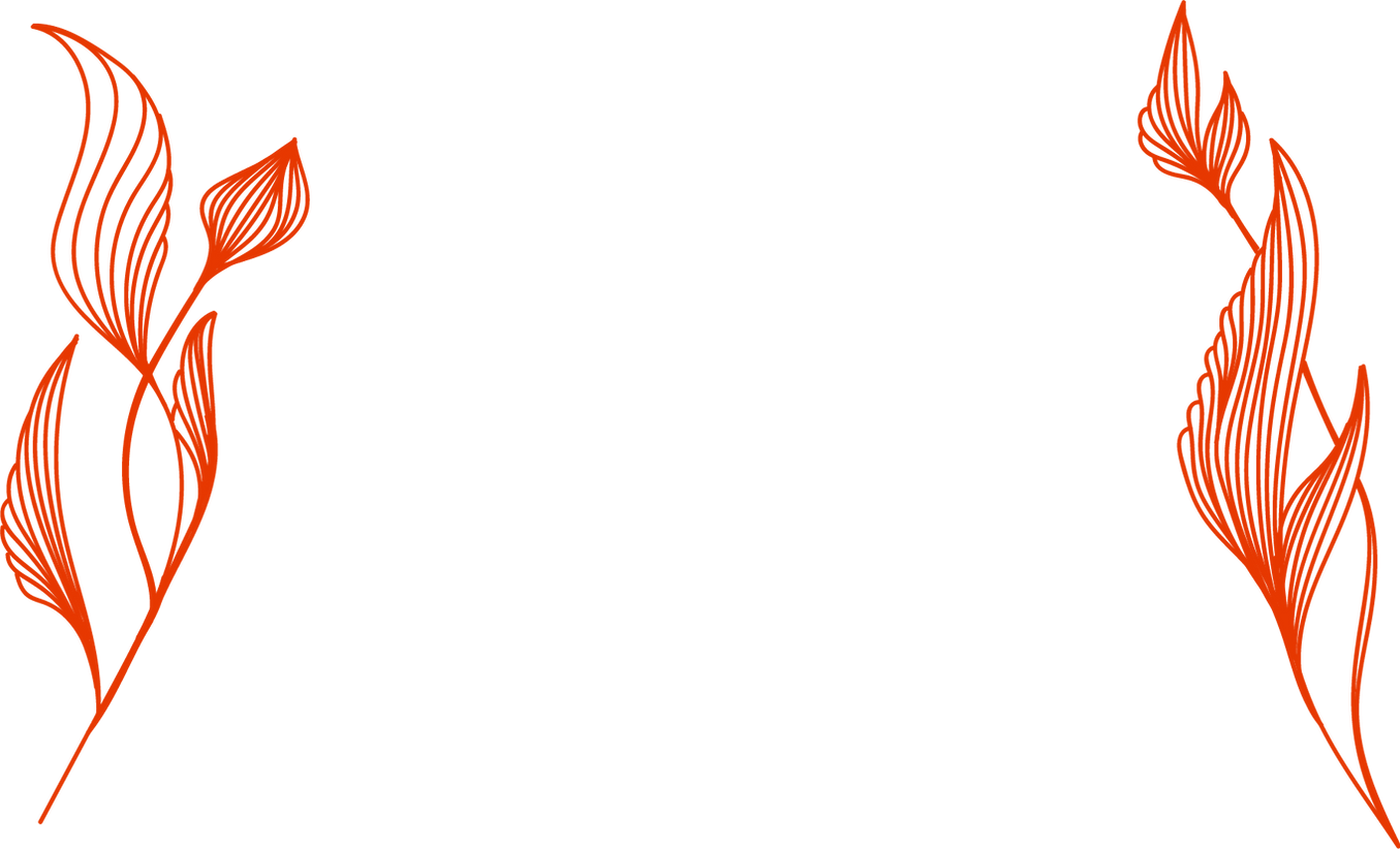 ACCUEIL ORDI (3).png