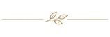 ChatGPT Image Aug 29, 2026 at 11_11_13 AM.png