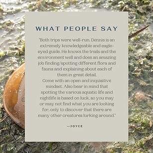 Intertidal Review.png