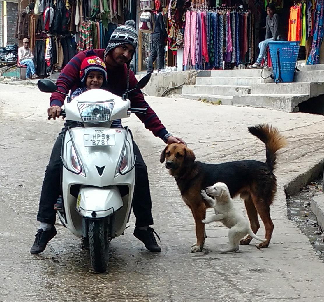 Photo gallery Scooter Rentals Manali