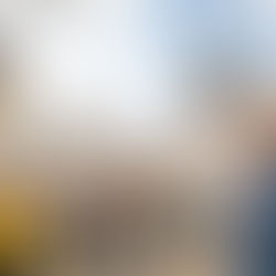 Top Strategies to Attract More Tourists to Your Walking Tours