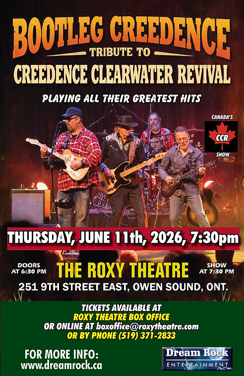BOOTLEG NEW COLOUR POSTER ROXY.jfif