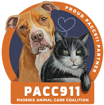 PACC911-partner-seal-Big.png