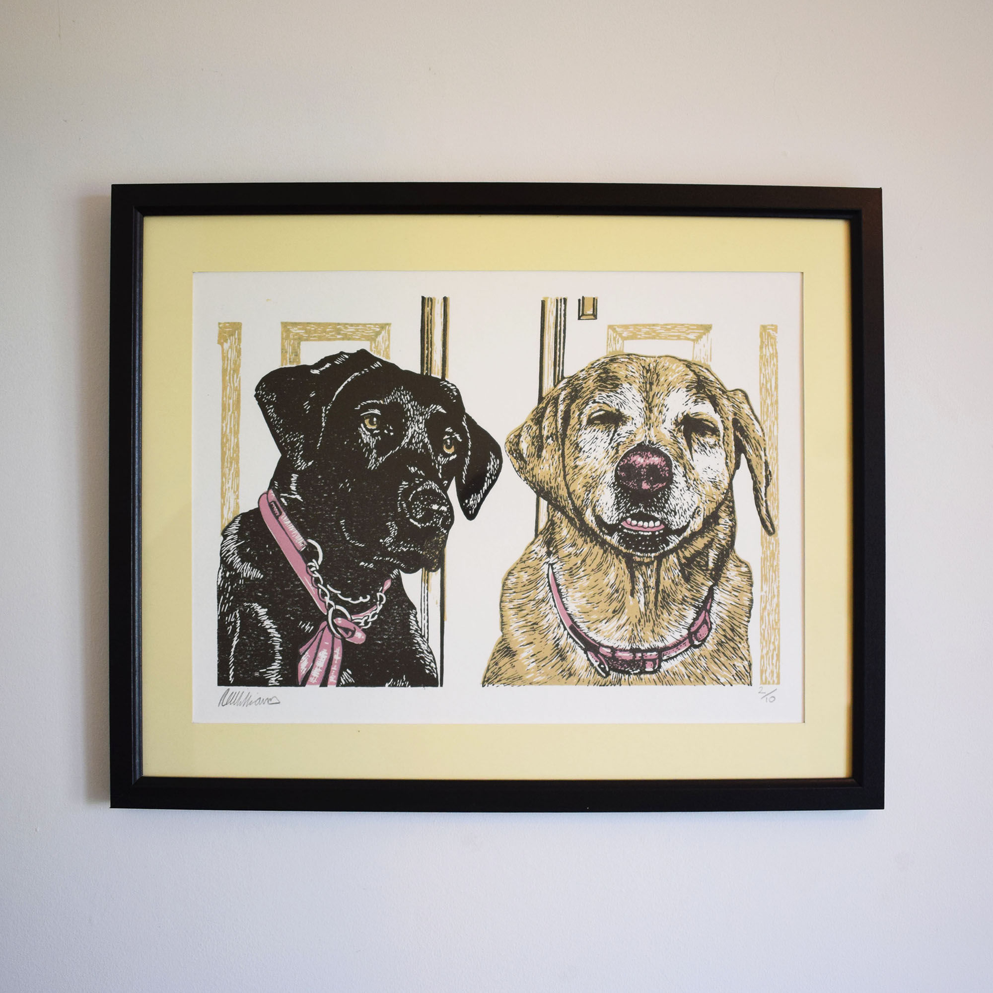 Black and Yellow Labradors