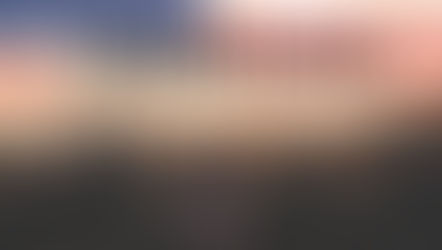 "Today we honor and thank our veterans for their courage, sacrifice, and service."