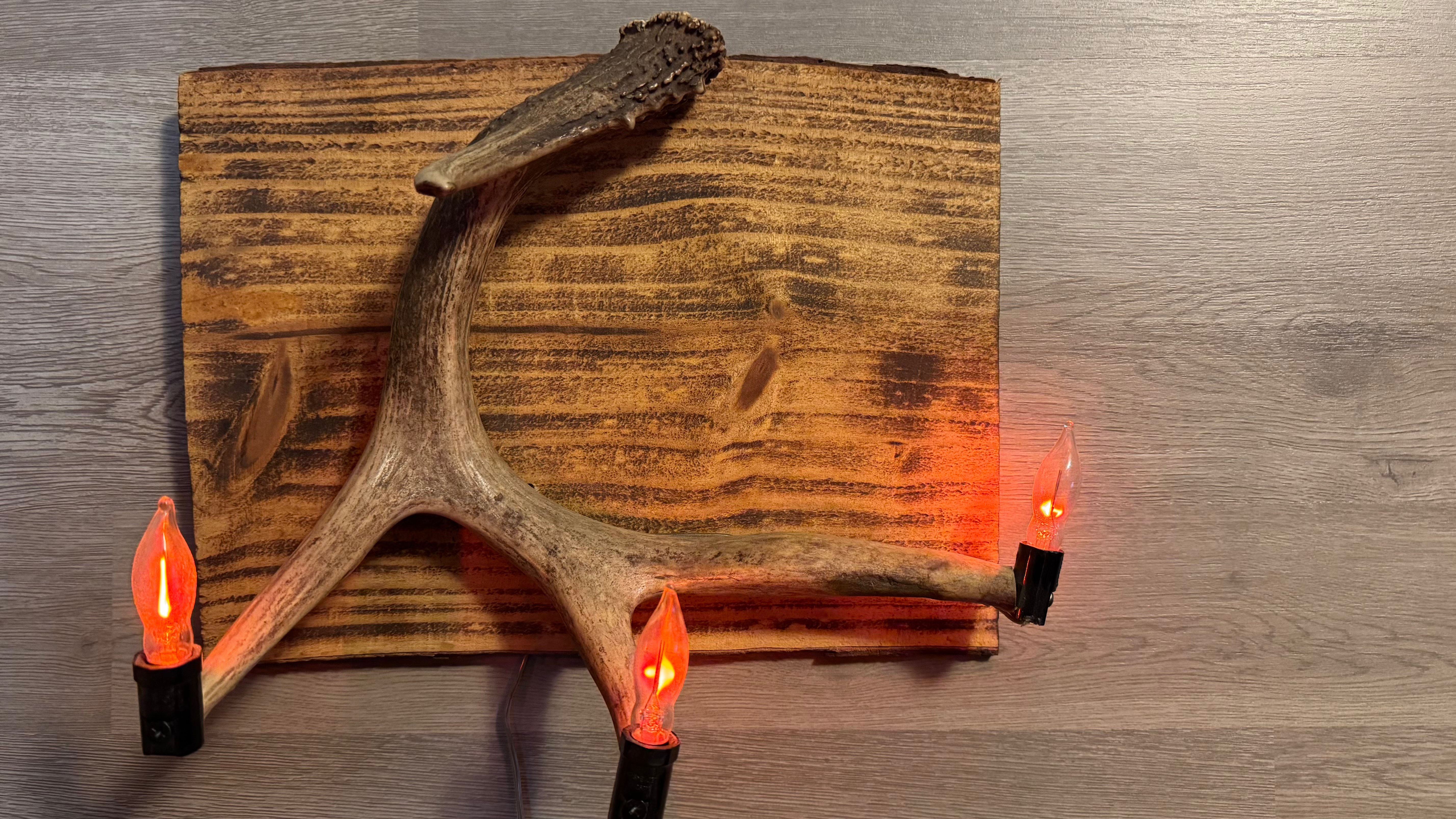 Deer Antler Lighting