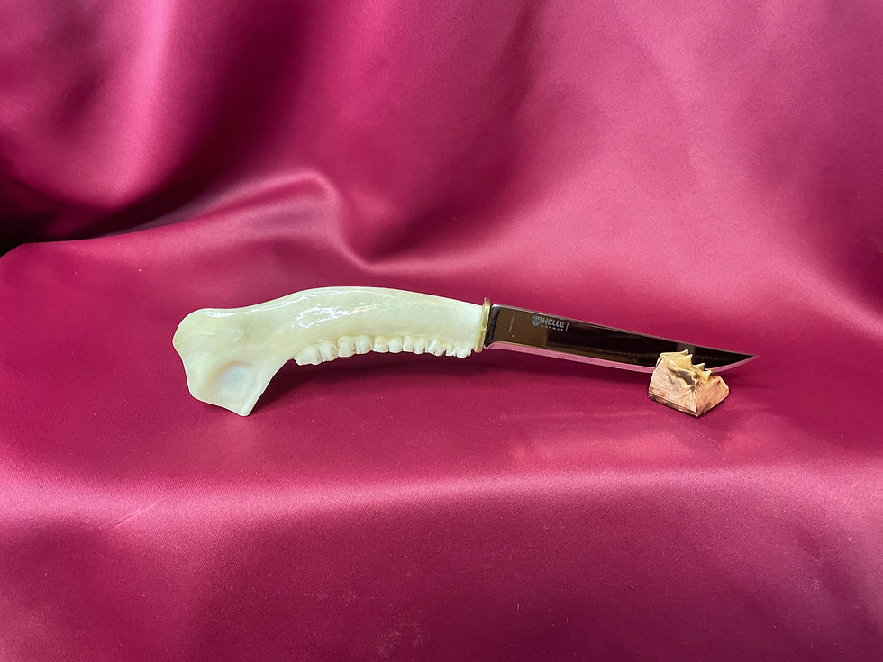 Thumbnail: Deer jaw knife 