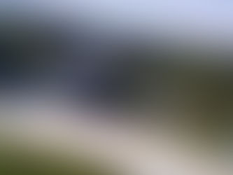 Followership… The Path to Great Leadership