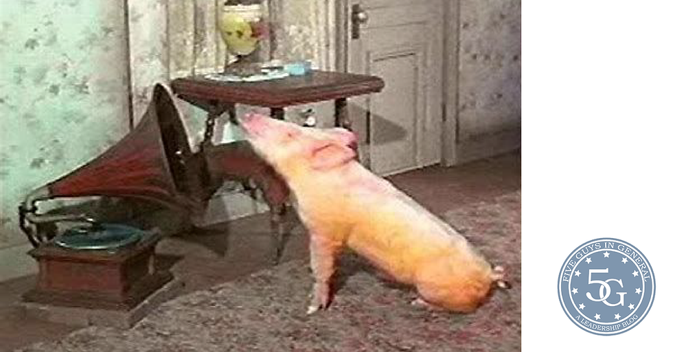 arnold-ziffel-green-acres