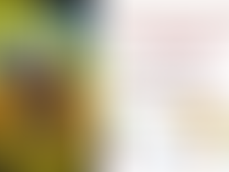 Asamblea de la Red de Mujeres Afrolatinas, Afrocaribeñas y de la Diáspora.