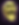skullPainting.png