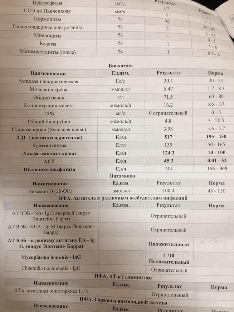 Пожалуйста помогите! content media