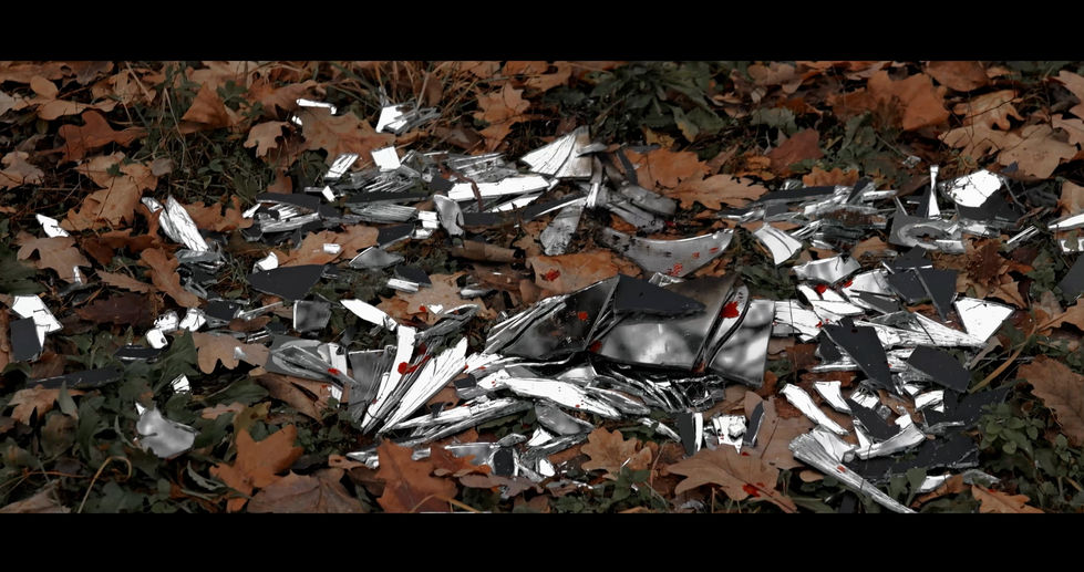 WG perry.mov.00_00_55_28.Still005