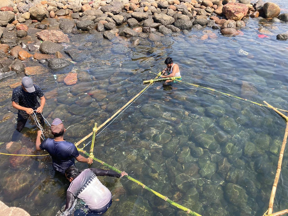 Fishermen installing seaweed raft structure for sustainable impact