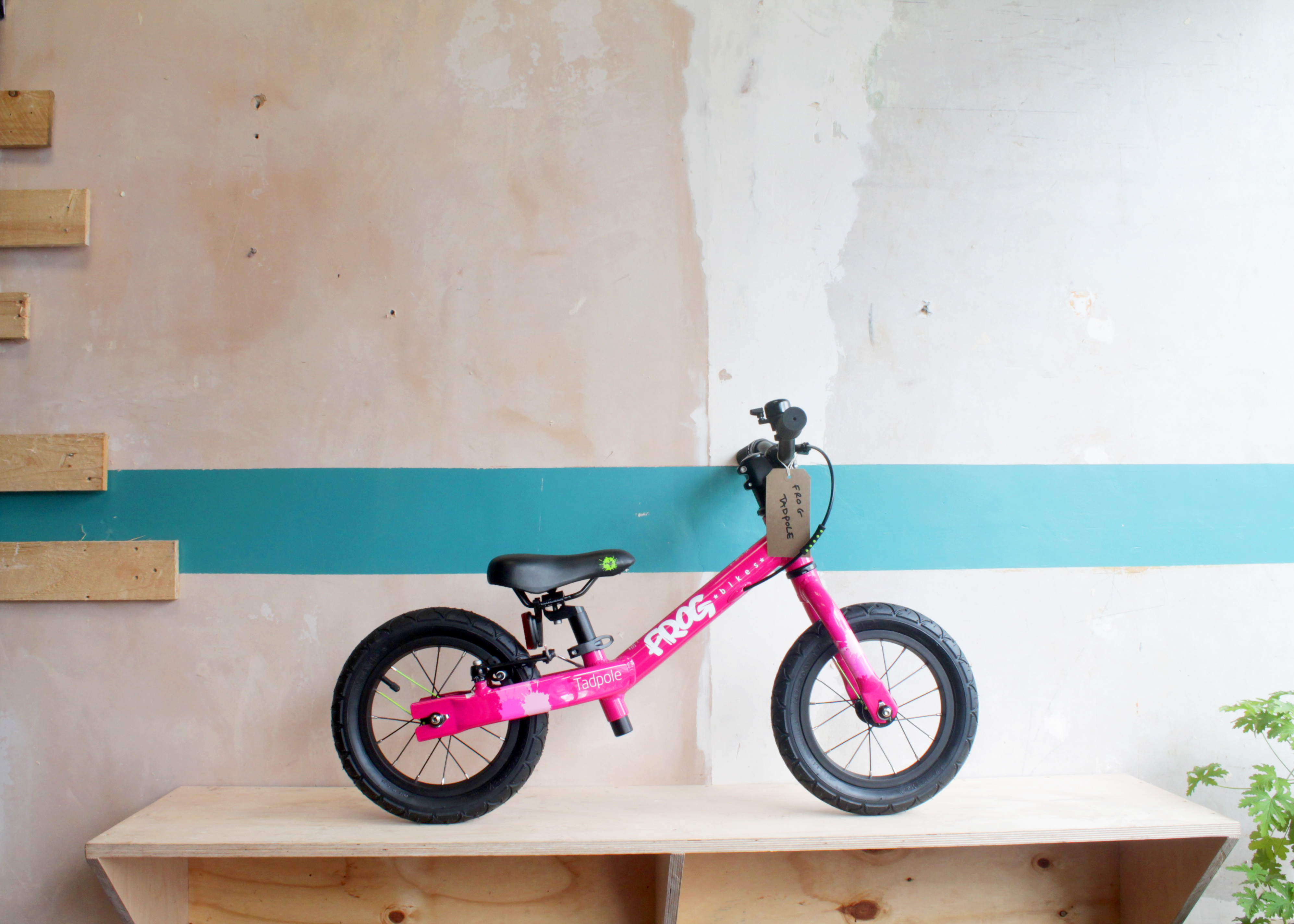 frog bike dealers